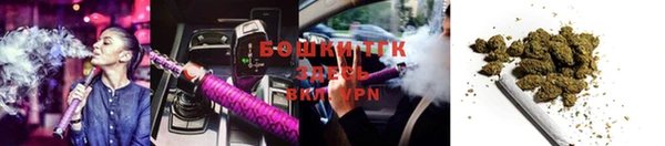 герыч Новодвинск