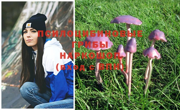 мефедрон Новозыбков