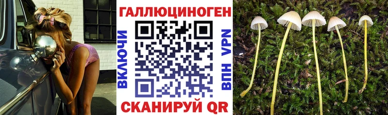 Галлюциногенные грибы мицелий Сосновка