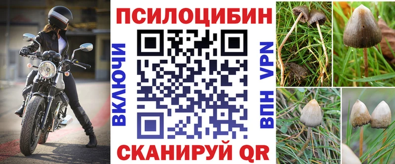 Псилоцибиновые грибы Psilocybe  Купить закладки  Сосновка 